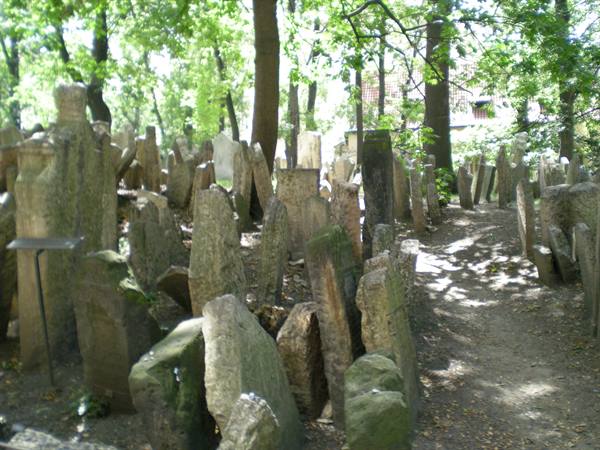 Europe's oldest burial ground
