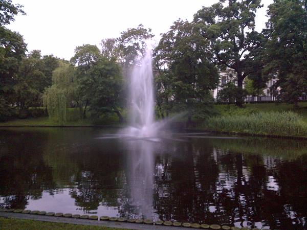 Fountain spraying water in a pond surrounded by tall trees