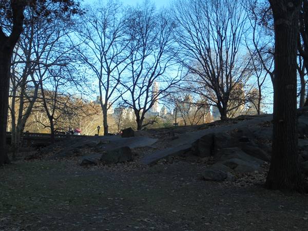 Bare trees and granite rocks in Central Park, Manhattan skyscrapers peeking through branches