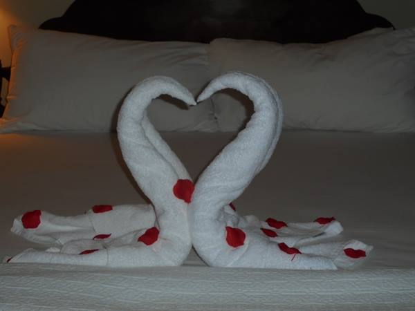 Two swans folded from white towels with red petals on the bed