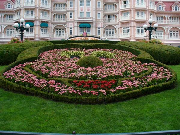 Mickey-shaped flower bed in front of the Disneyland Park hotel, hedges and pink blooms