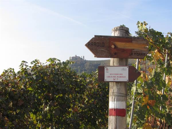 The Barolo Trails