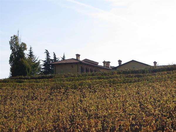 Langhe