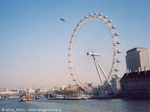 Ferris Wheel