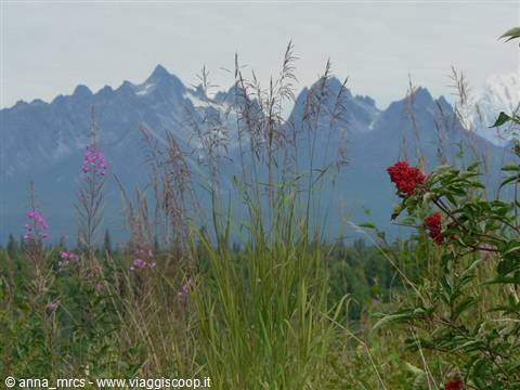 Alaska Range along the Parks Highway