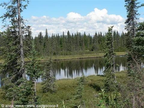 Along the Parks Highway towards Denali National Park