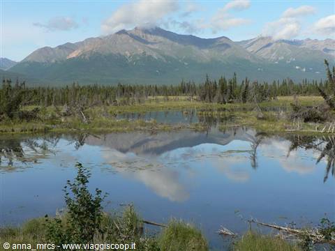 Along Nabesna Road - Wrangell St Elias National Park