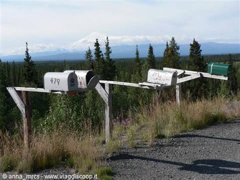 Along Nabesna Road - Wrangell St Elias National Park