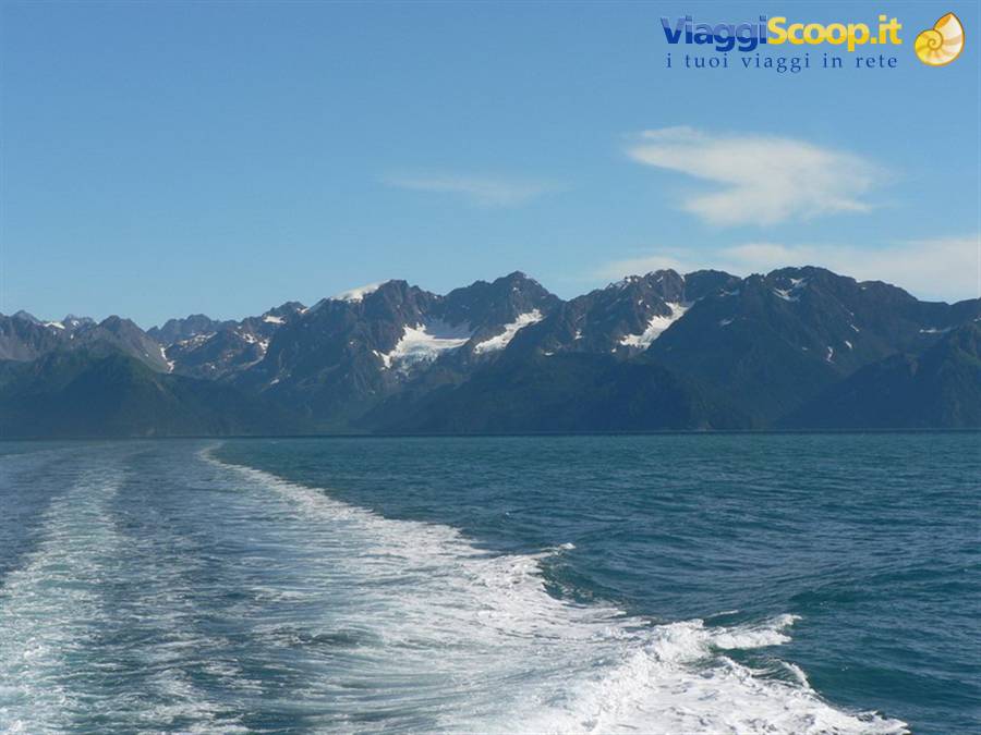 Resurrection Bay - Kenai Fjords National Park