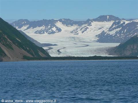Bear Glacier - Kenai Fjords National Park