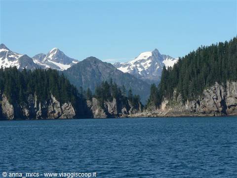 Resurrection Bay - Kenai Fjords National Park