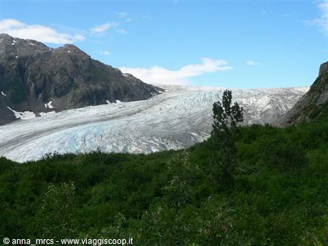 Exit Glacier - Kenai Fjords National Park