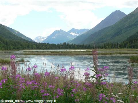 Kenai Peninsula - along the Sterling Highway