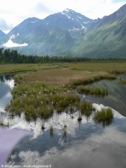 Beaver Dam - Eagle River