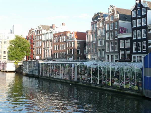 Amsterdam - Bloemenmarket