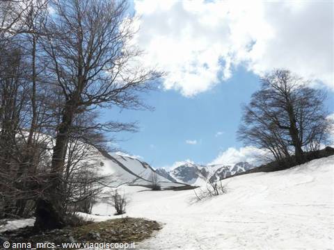 21 Biscurri valley