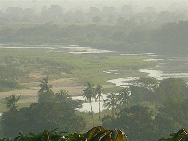 River winding among palm trees and green vegetation in morning haze