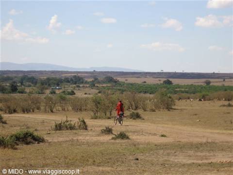 Masai...on bicycles