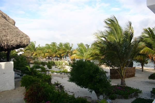 VIEW FROM THE VILLA