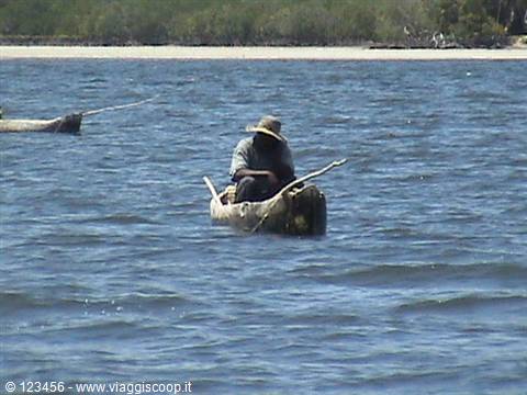 the fishing