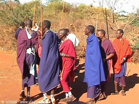 masai tribe