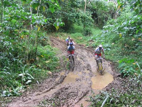 Mountain bikers riding through muddy trail in tropical jungle