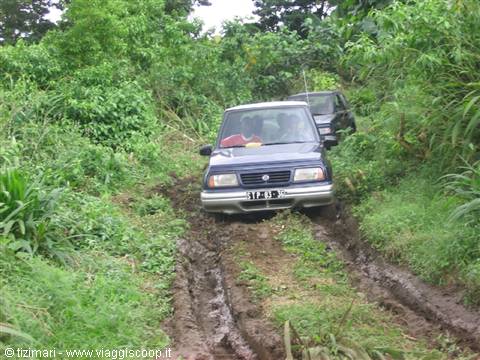 Suzuki 4x4 stuck in mud on a tropical track, dense vegetation
