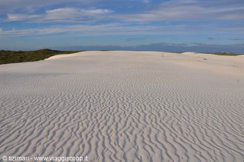 Toward Cervantes