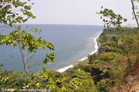 White waves on black rocky shore beneath green trees in morning light