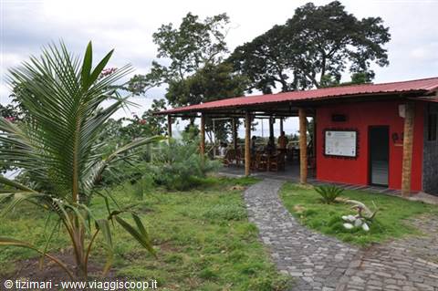 Red-walled restaurant with metal roof, stone path among grass and palm tree