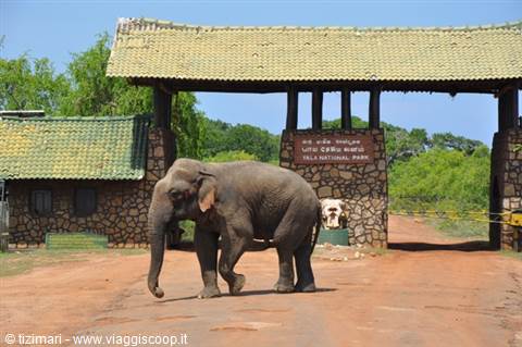 Yala Park entrance