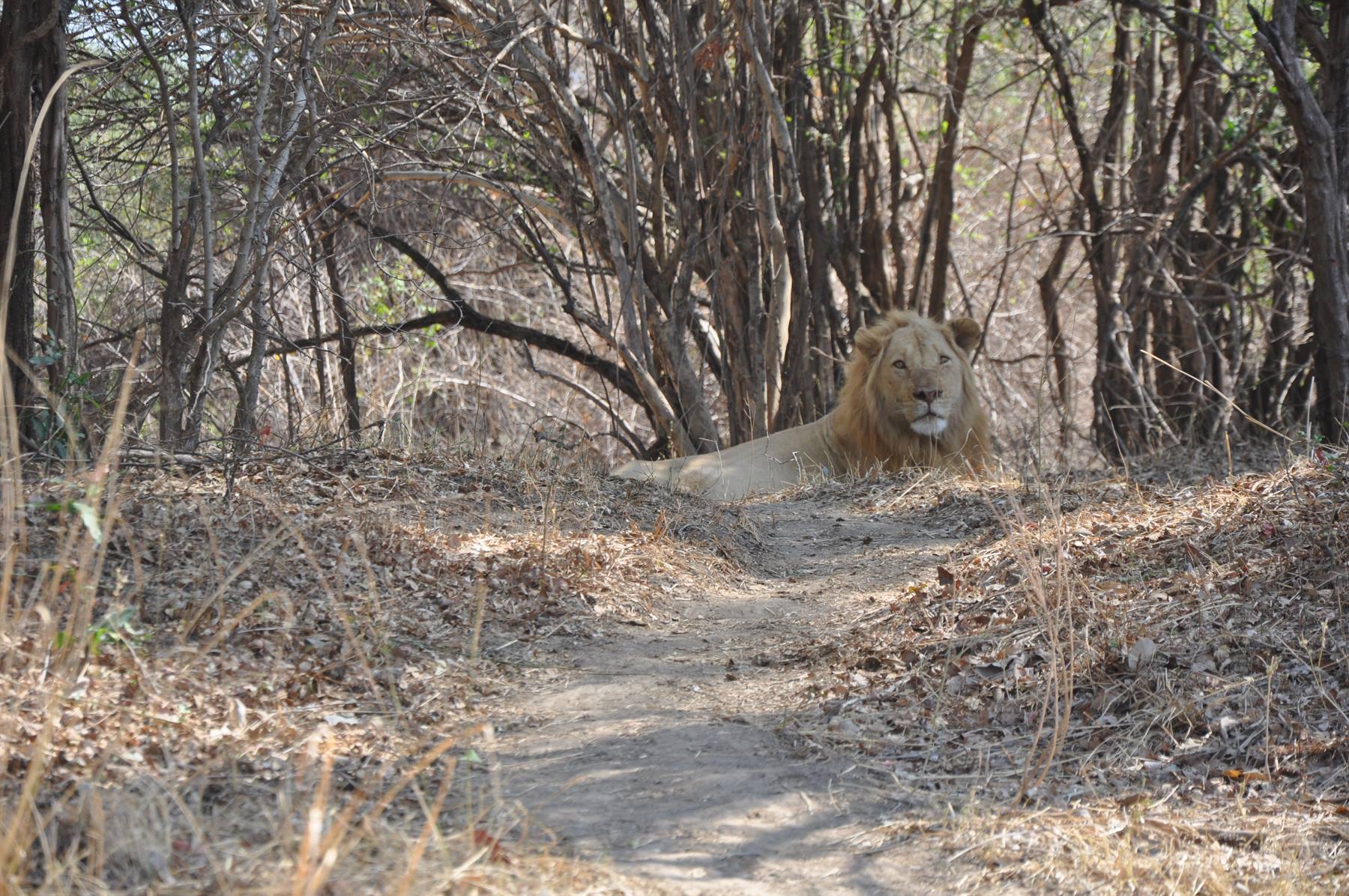 South Lwangwe National Park