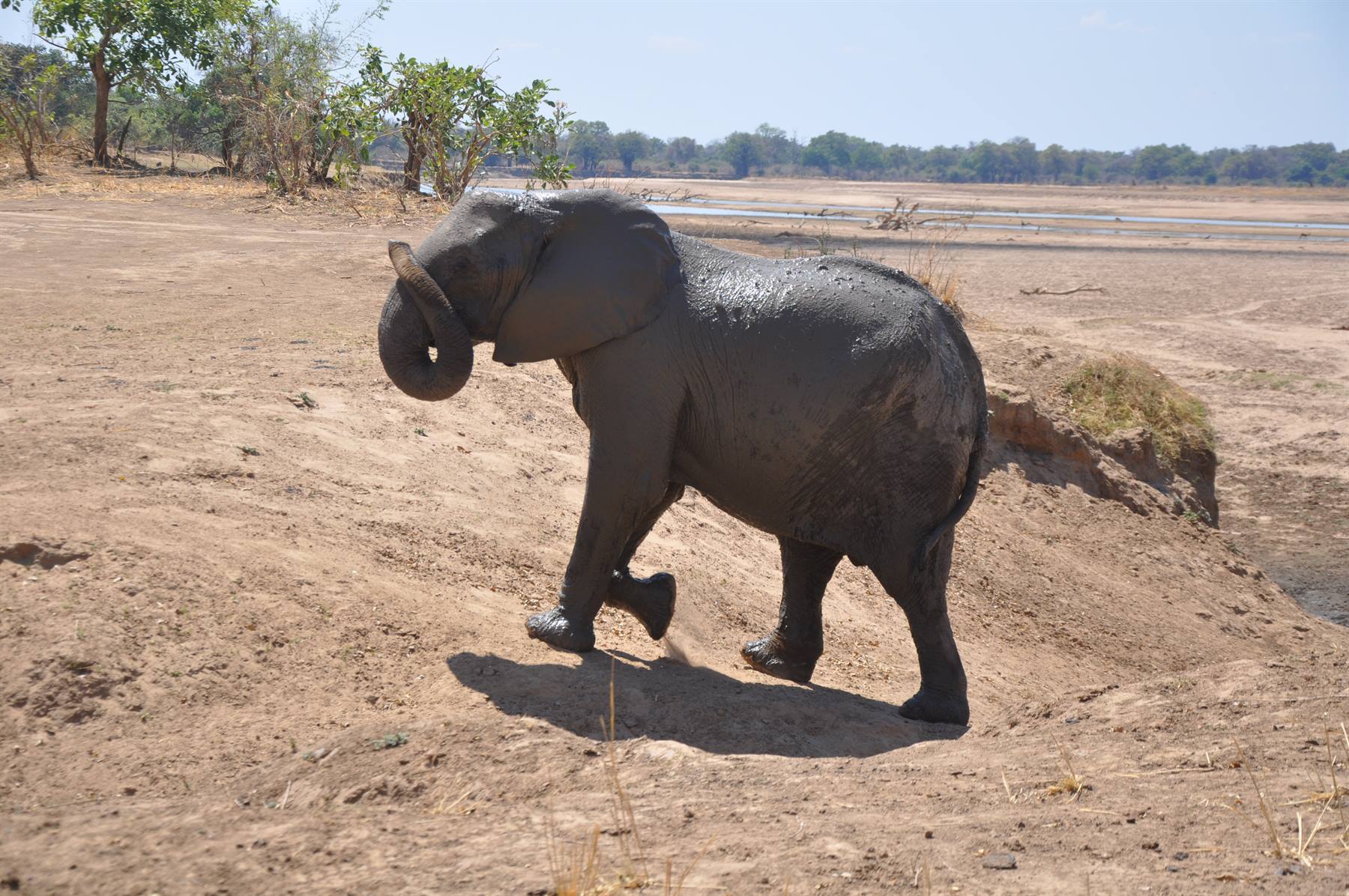 South Lwangwa National Park