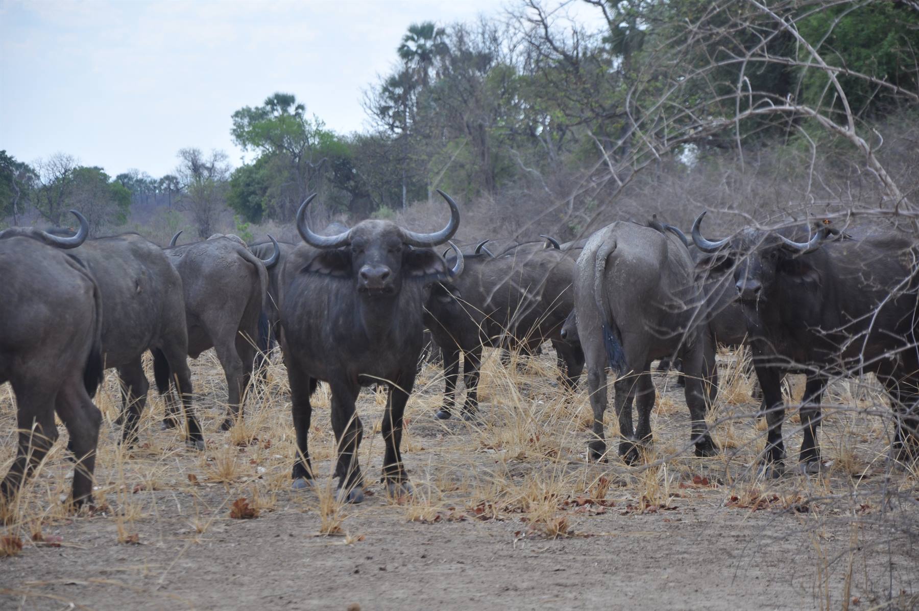South Lwangwe National Park