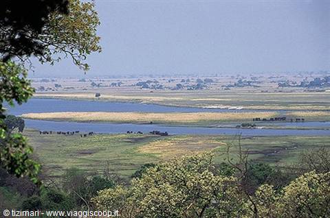Chobe Park