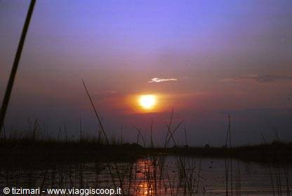 okavango