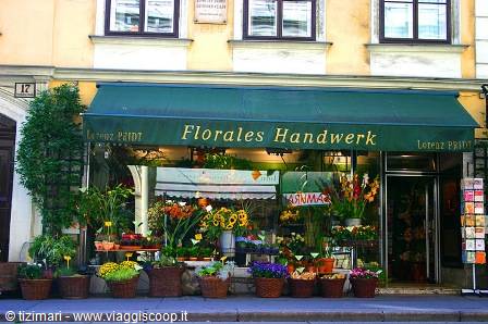 Florales Handwerk flower shop with potted plants in front of the window