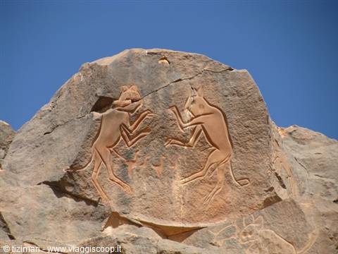 the friendly cats
