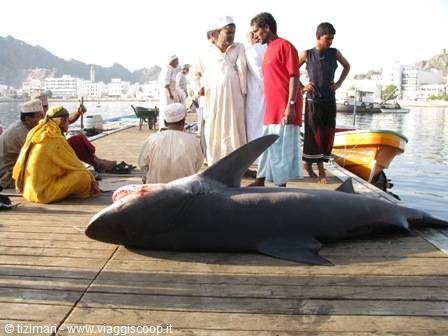 Muttrah, harbour and fish market