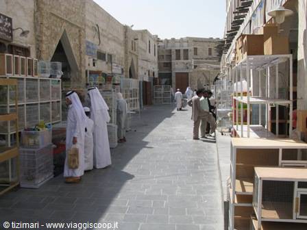 bird market