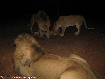 night-time meal