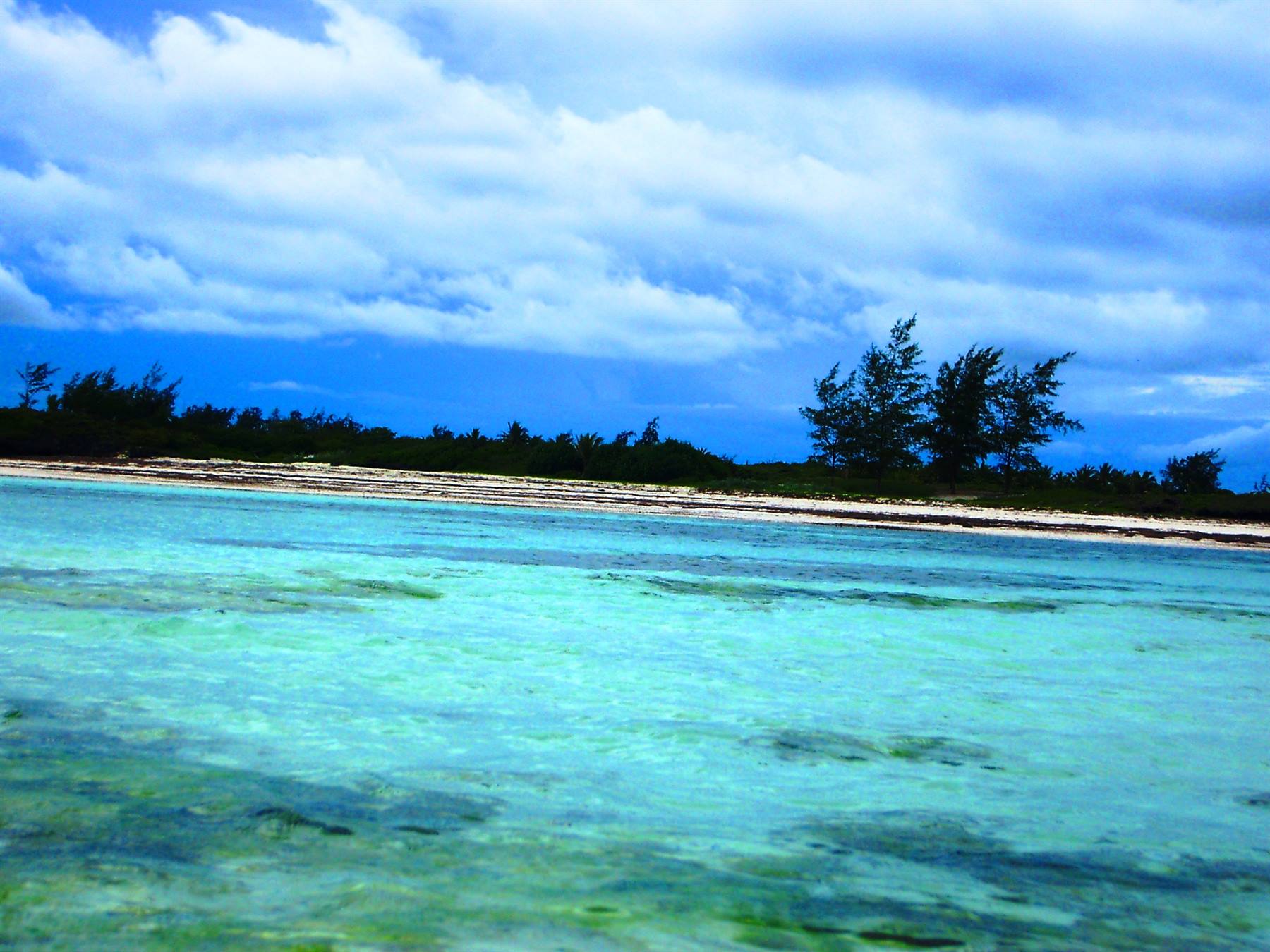 Clear turquoise water by the beach with trees and cloudy sky