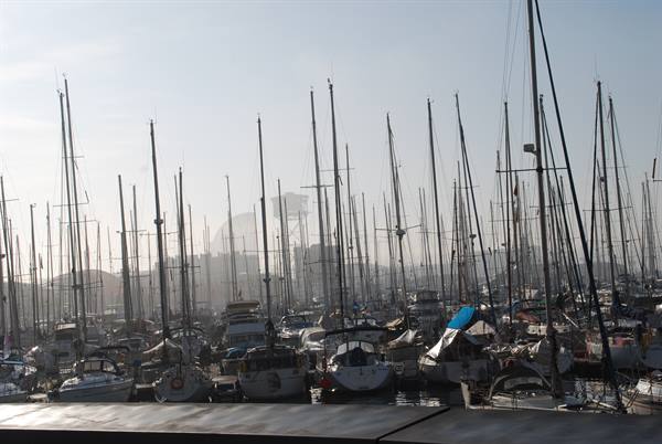Port of the Barceloneta