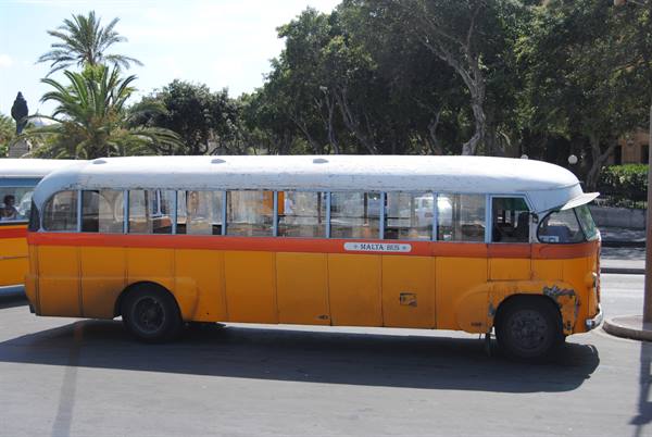 The legendary buses