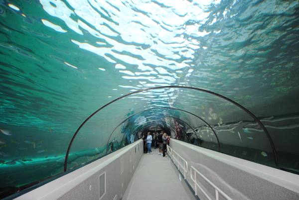 The splendid aquarium of Sydney