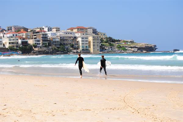 Due surfisti con tute nere entrano in mare, spiaggia di Bondi, Sydney
