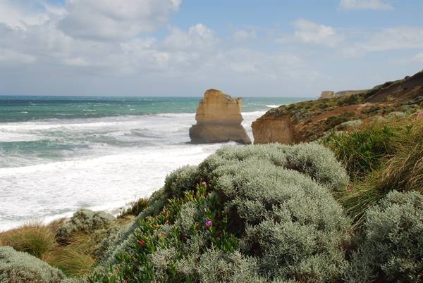 Dodici Apostoli, Port Campbell: faraglioni calcarei tra schiuma e cespugli