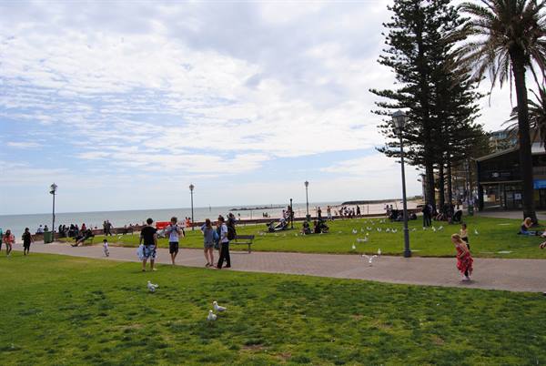 Lungomare di Glenelg, gente sui prati con gabbiani e palme