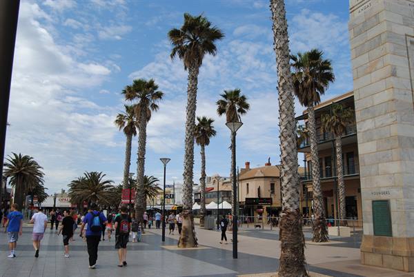 Passeggiata tra le palme lungo Moseley Square, Glenelg, Adelaide