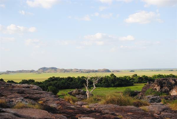 Northern territory